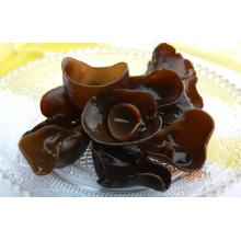 湿木耳 500g/斤