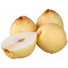 水晶梨 500g/斤