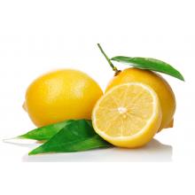 柠檬 500g/斤