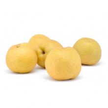 丰水梨 500g/斤