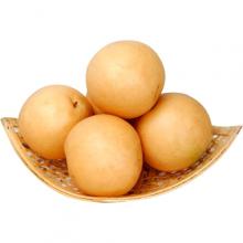丰水梨 500g/斤