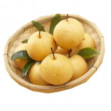 丰水梨 500g/斤