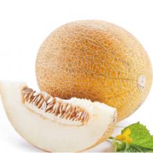 哈密瓜 500g/斤