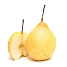 水晶梨 500g/斤