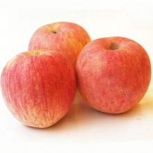 红富士苹果 500g/斤