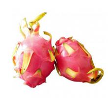 白肉火龙果 500g/斤