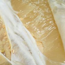 柚子、蜜柚 500g/斤