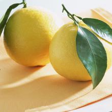 柚子、蜜柚 500g/斤