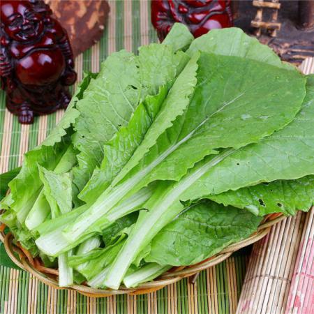 小白菜 500克/斤