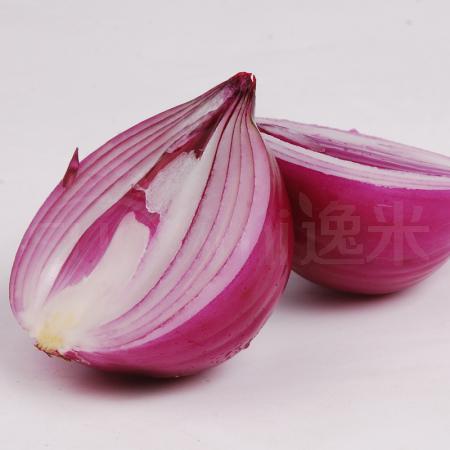 洋葱 500克/斤