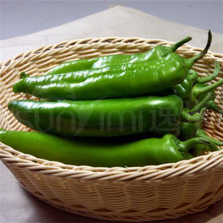 薄皮大青椒 500克/斤