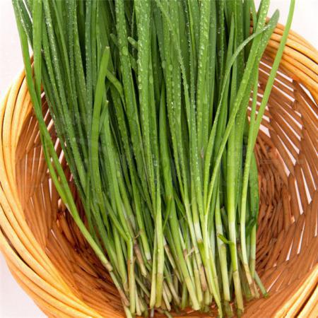 大韭菜 500克/斤