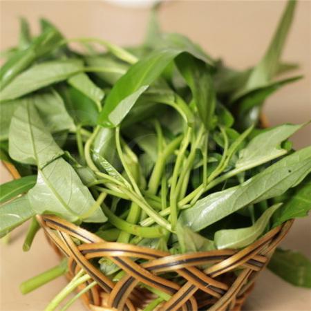 水空心菜 500克/斤