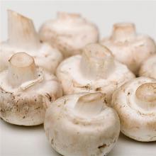 白蘑菇 500克/斤