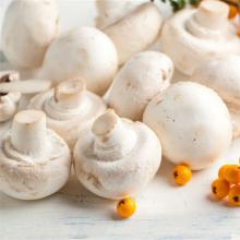 白蘑菇 500克/斤