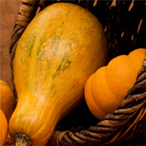南瓜