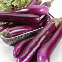 茄子 500克/斤