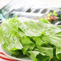 生菜 500g/斤
