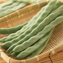 四季豆 500g/斤