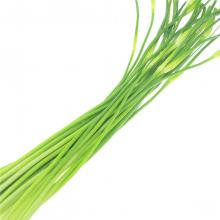 新鲜蒜薹 500克/斤