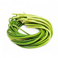 新鲜蒜薹 500克/斤