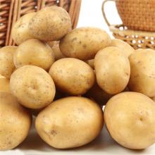 土豆 洋芋 500克/斤