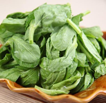 豌豆尖 500克/斤