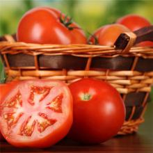 西红柿 番茄 500克/斤