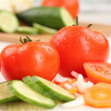 西红柿 番茄 500克/斤