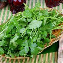 香菜 50g/两