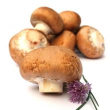 香菇 500g/斤