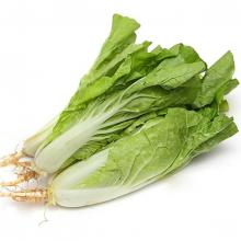 小白菜 500克/斤