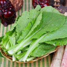小白菜 500克/斤