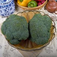 西兰花 500克/斤