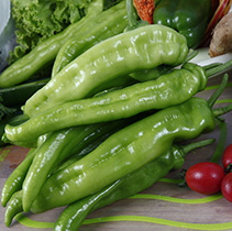 小青椒 尖椒 500克/斤