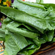 油麦菜 500g/斤