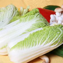 大白菜 500g/斤