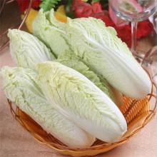 大白菜 500g/斤