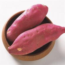 红心红苕 500g/斤