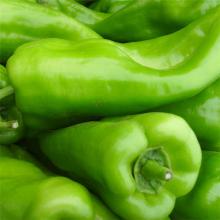 薄皮大青椒 500克/斤