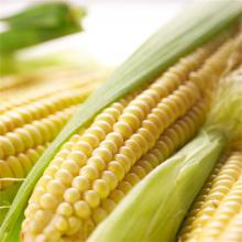 带壳玉米 500g/斤