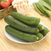 黄瓜 500克/斤 
