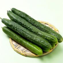 黄瓜 500克/斤 