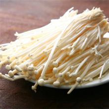金针菇 500g/斤