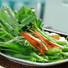 水空心菜 500克/斤