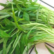 水空心菜 500克/斤