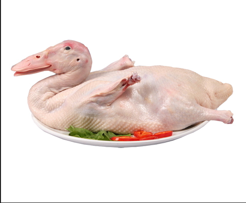 新鲜鸭肉约5斤