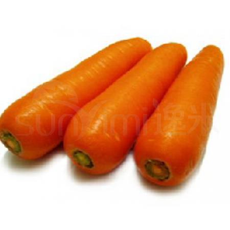 胡萝卜 500克/斤