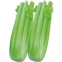 西芹 500g/斤