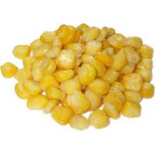 嫩玉米籽